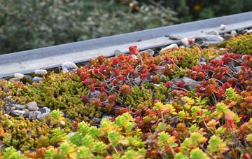 the cost of Neat Enstone green roof installation