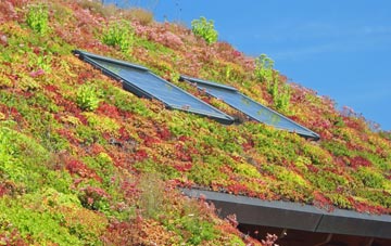 Neat Enstone living roof systems